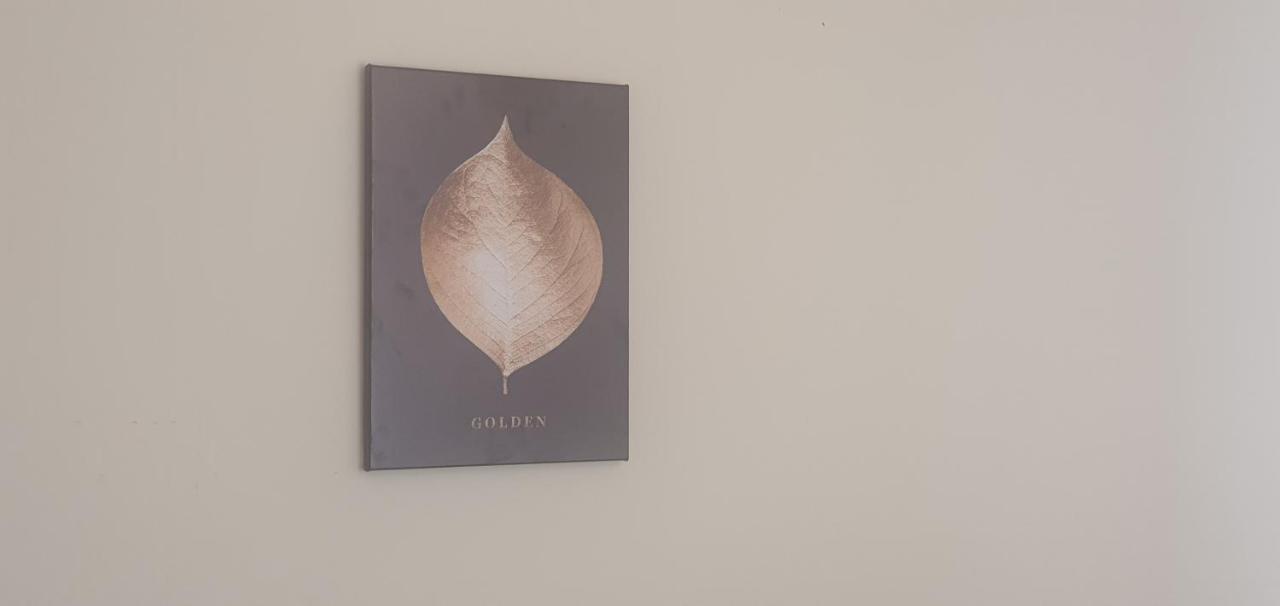 Leicester City Apartments المظهر الخارجي الصورة